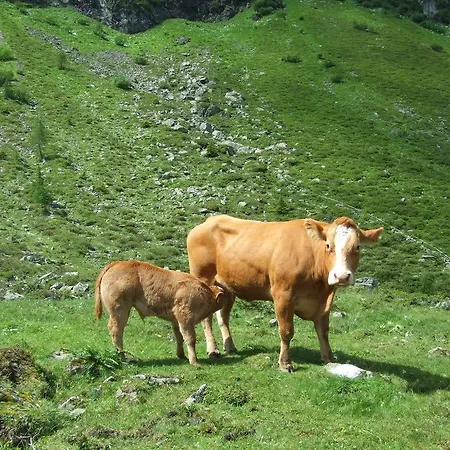 Holdhof * Шладмінг