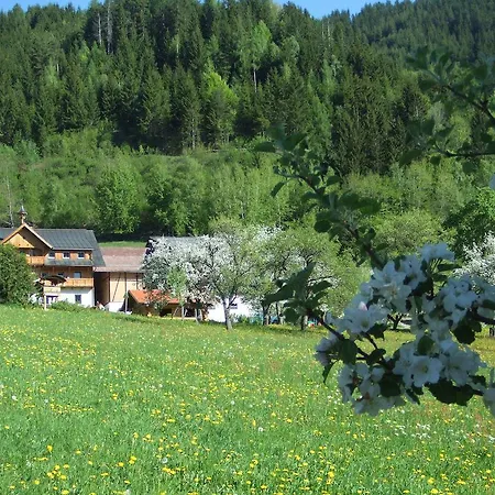 Gospodarstwo agroturystyczne Holdhof Schladming