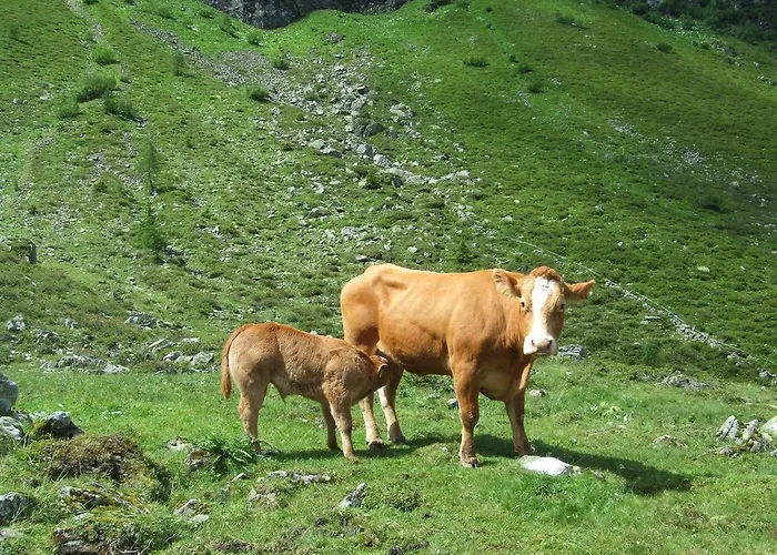 Holdhof * Schladming